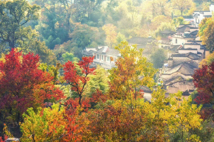 塔川，童话里的秋天，美得太不像“画”！