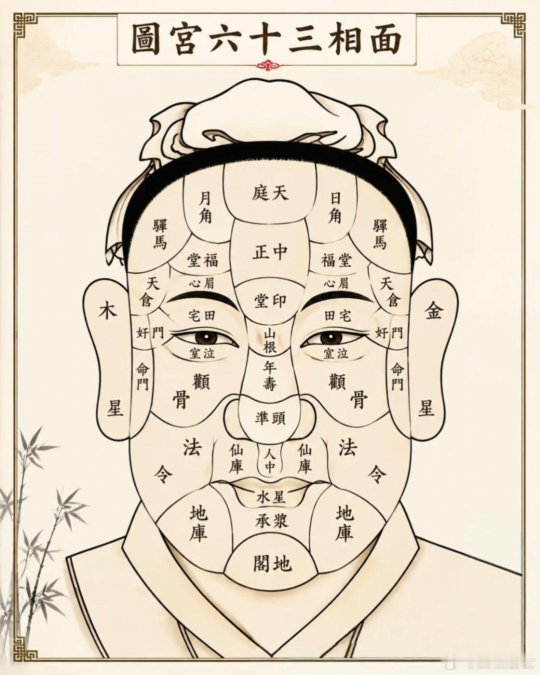 从天庭到地阁，一张脸被划成更精细的地图在十二宫之外，还有三十六宫中的常用部位。天