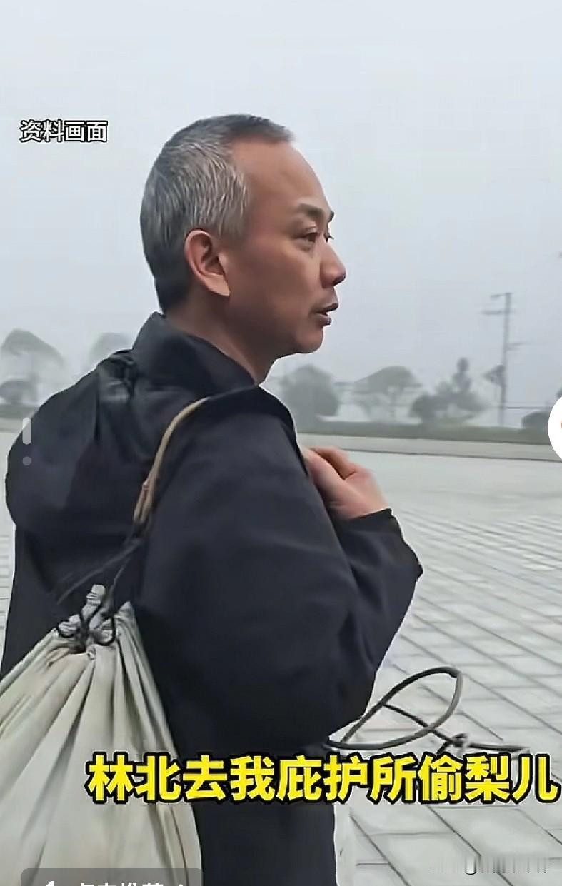 老中医被退赛愤愤不平，攀咬起林北了！张家界荒野求生进入最后的决赛阶段，老中医