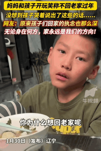“破防了！”辽宁，吃晚饭时女子逗8岁的儿子说，今年就留在当地，不回家老家过年了，