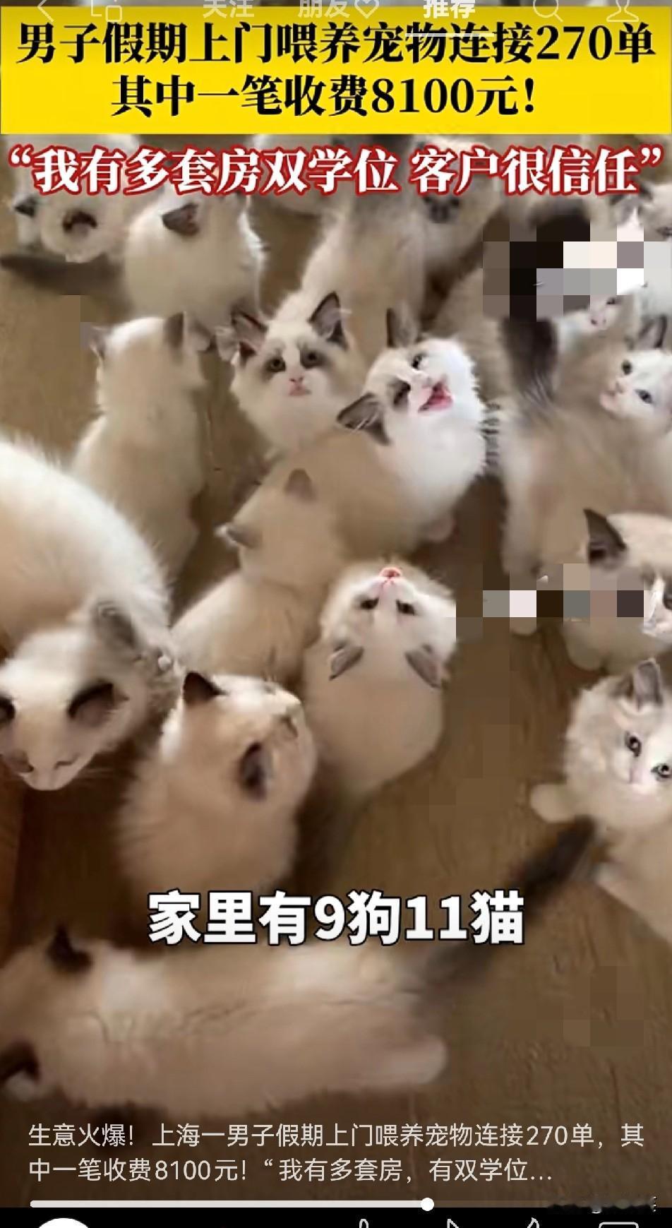 刷到这新闻我直接坐不住了上海一男子假期上门喂宠物，狂接270单其中一单收