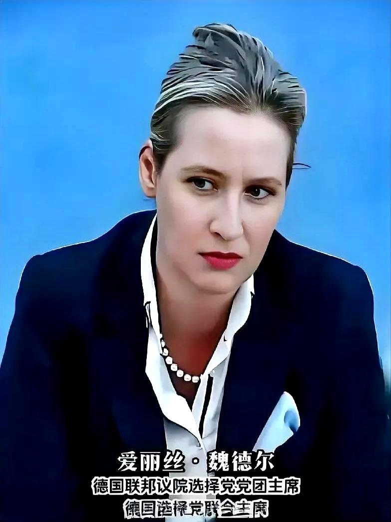 德国政坛今天炸了锅！爱丽丝·魏德尔——那位以敢说敢言著称的德国选择党女大佬，当着