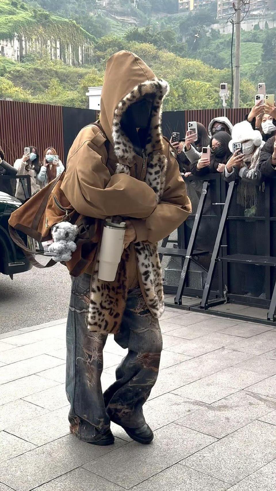 咪咪喵喵的小老虎