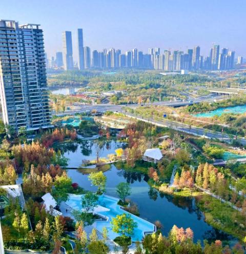 当初买房，我死活要买一楼，觉得接地气、不用爬楼。亲戚劝我“一楼潮湿、蚊虫多”，我