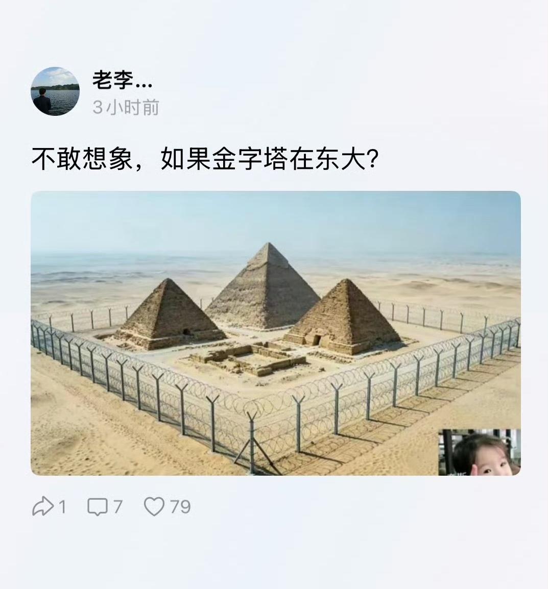主要是埃及根本不具备大规模建造刀片网的能力和实力！