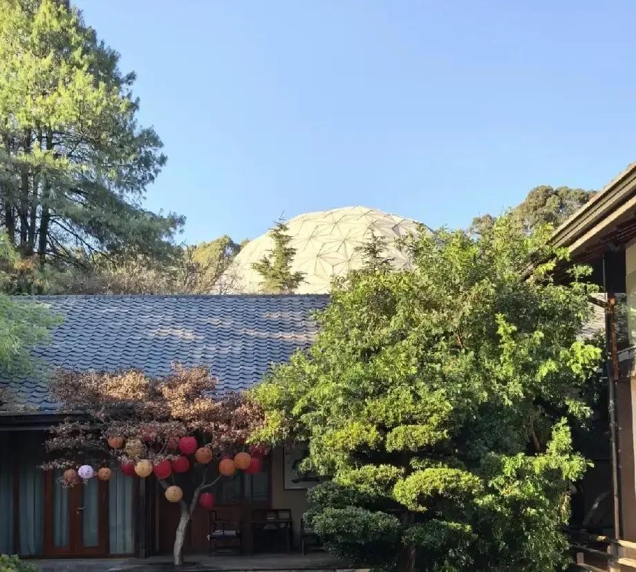 李亚鹏的民宿，朋友前几天去住了一晚，回来直摇头，说“好心塞”。28间房，院子