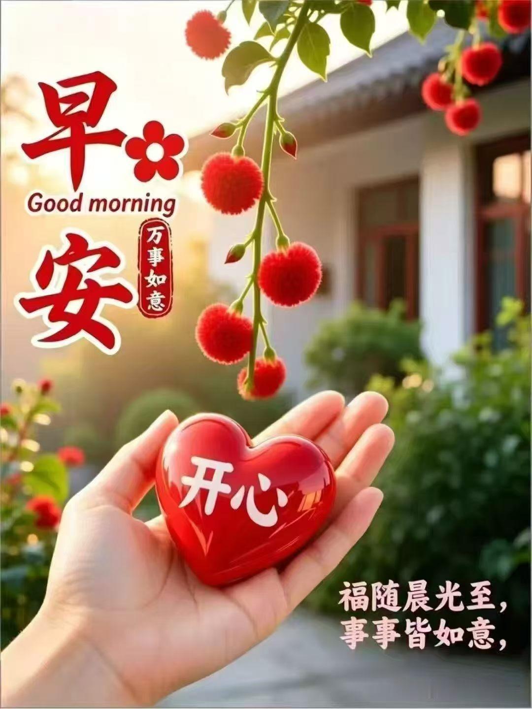 早安！🌿🌹🤗🌴🤝🍎迎着晨光，奔赴美好…岁月静好，幸福绵长。思念绕心