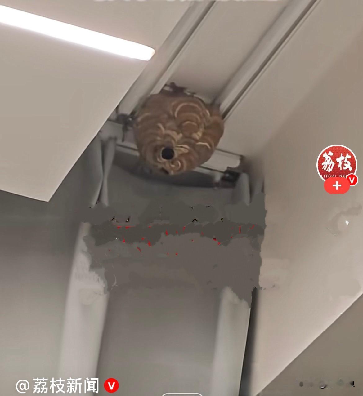 这个心真大……近日，贵州遵义石女士晚上在家打扫卫生，收拾窗帘角落