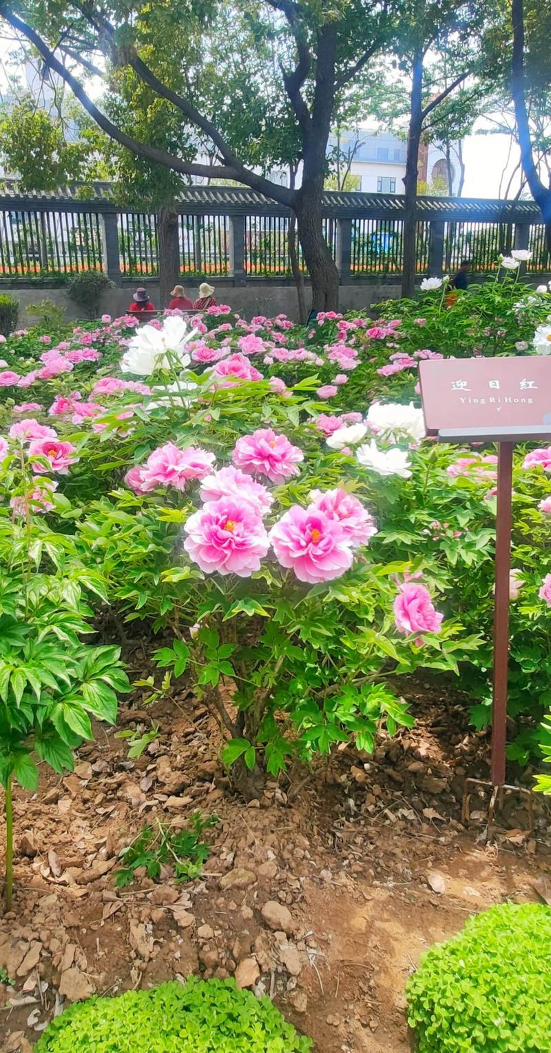 人这辈子，最通透的活法，就是算好生命这笔账人活一辈子，其实就是在算一笔账，