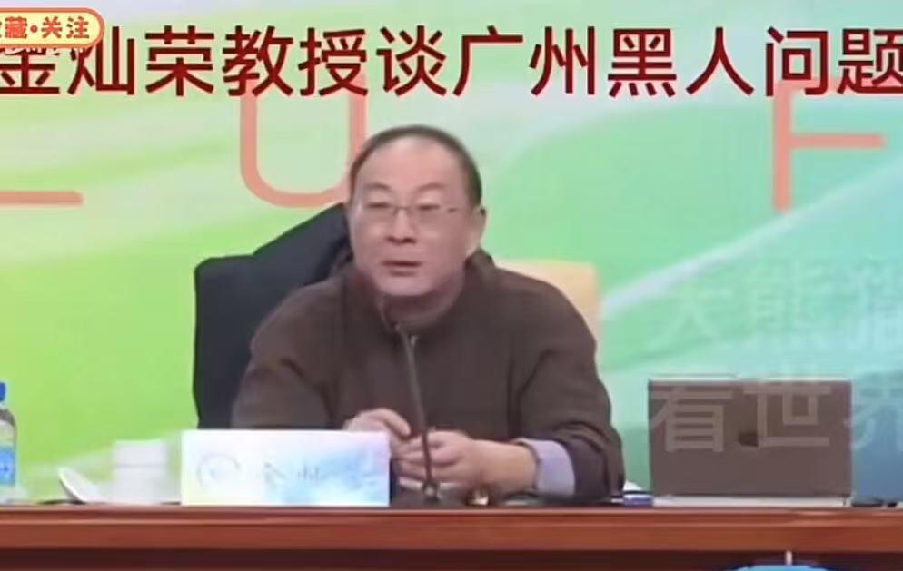 金灿荣教授在一档节目中说到：广州现在有近30万的黑人，只有1.6万有合法登记，剩