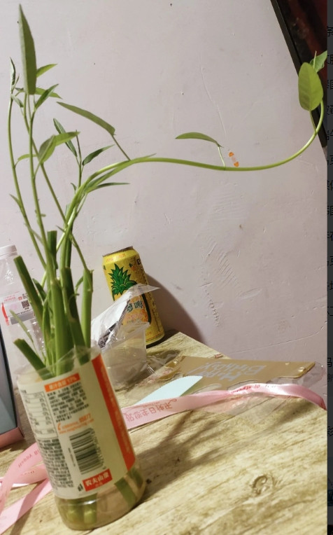 我跟前夫的堂妹关系还可以，去年她跟着我来浙江打工，我们住一起进一个厂，因为她长的