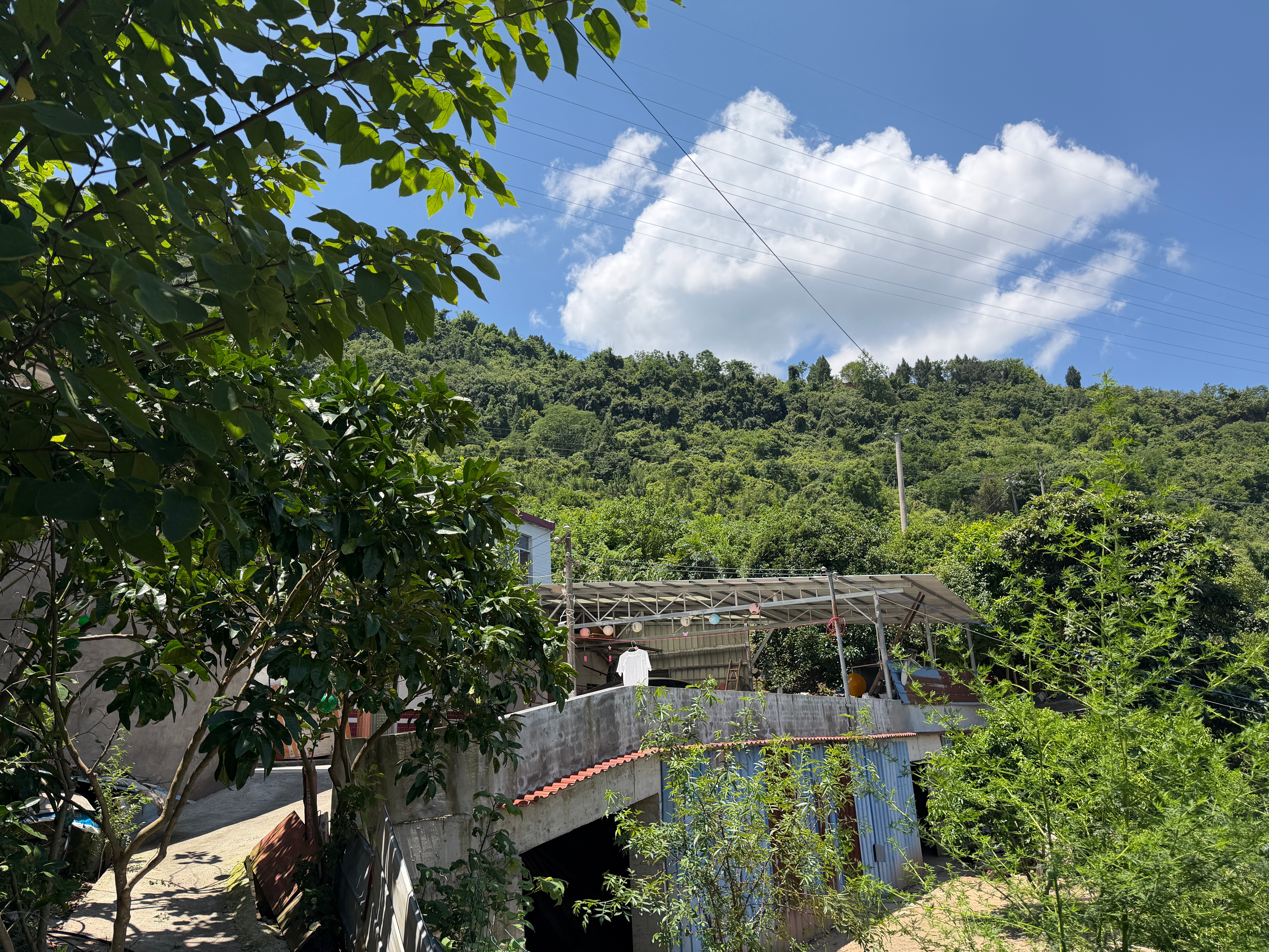 我们老家房子已经被标记为大型滑坡地带、背后的一批大山有可能滑坡！在这里生活了30
