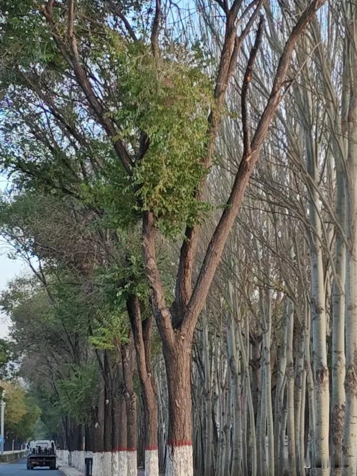 我想说的是，冬天应该来讲是最美的季节，因为大雪飘零那种白茫茫的感觉，实际上还是让