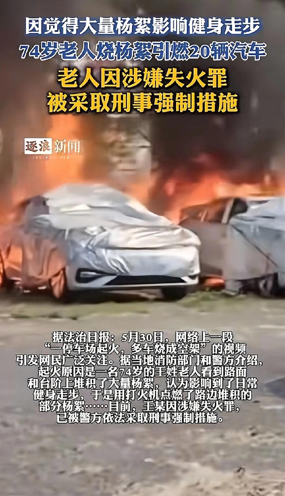 大连，74岁大爷散步发现好多杨絮，他觉得杨絮影响自己散步健身，一气之下将杨絮点燃