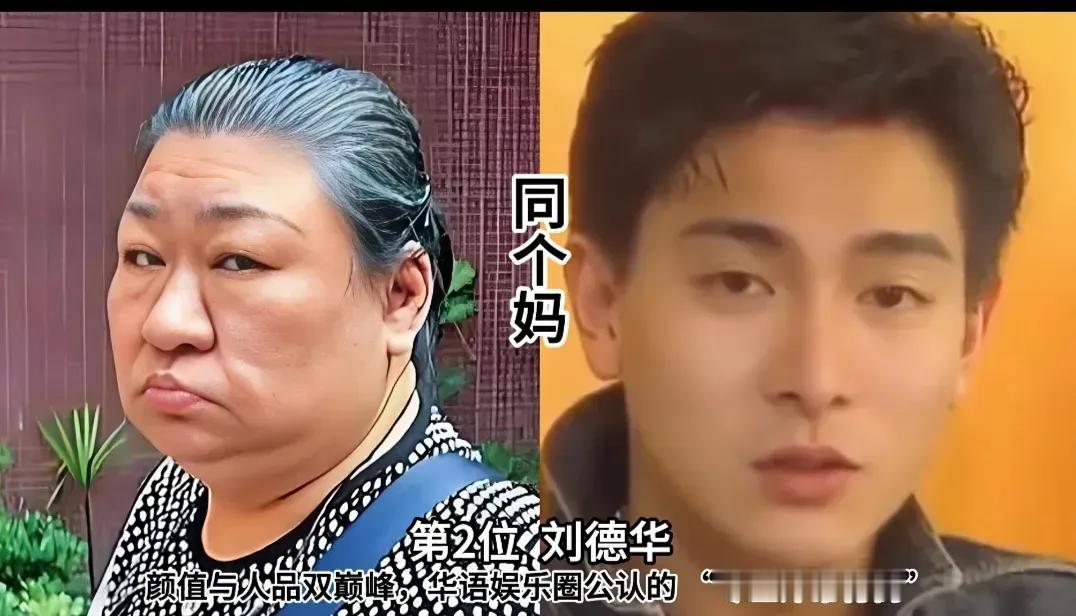 年轻的时候刘德华英俊帅气，姐姐的颜值不如他年轻的时候张柏芝美丽动人，弟弟的颜值