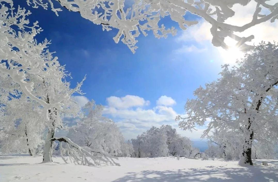 今年石家庄地区的雪比往年来得晚了些。我看天气预报10-11日河北全省有最大范