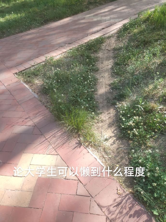 大学生能少走一米绝不多走一步