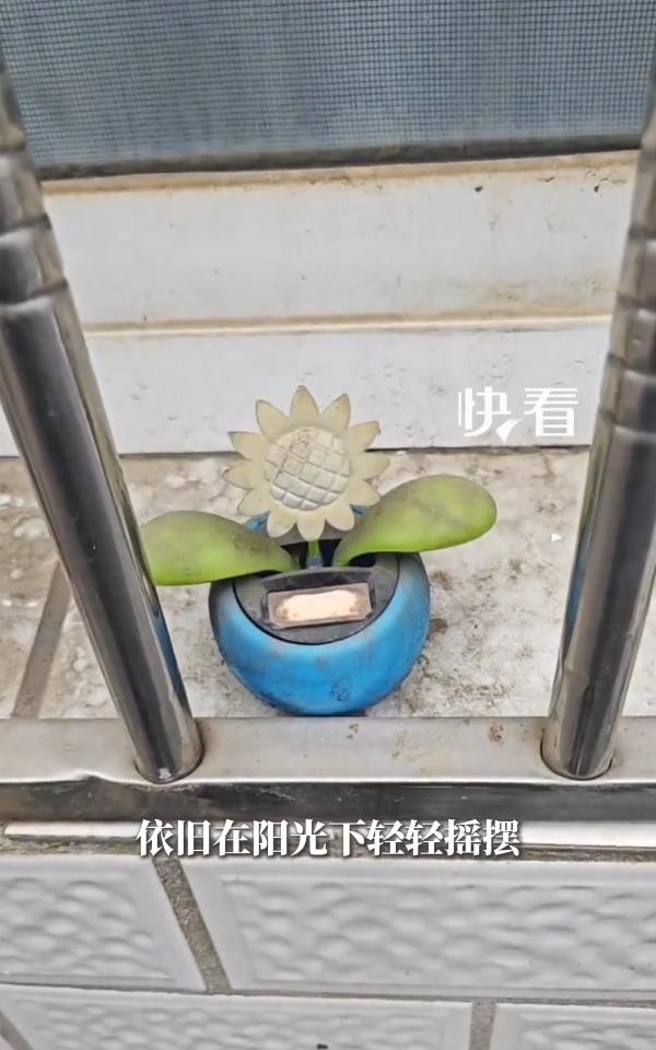 看哭了！浙江，一男子时隔多年回老家探望，突然在窗台上看到十年前女友送给她的太阳能