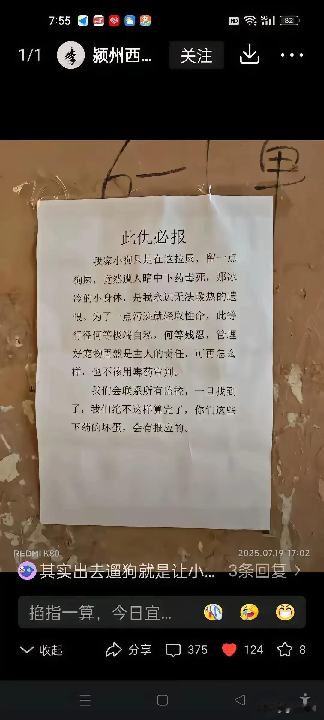 小狗在单元楼道乱拉屎，遭到邻居记恨，小狗被人下药毒到。这是狗主人贴的告示。这