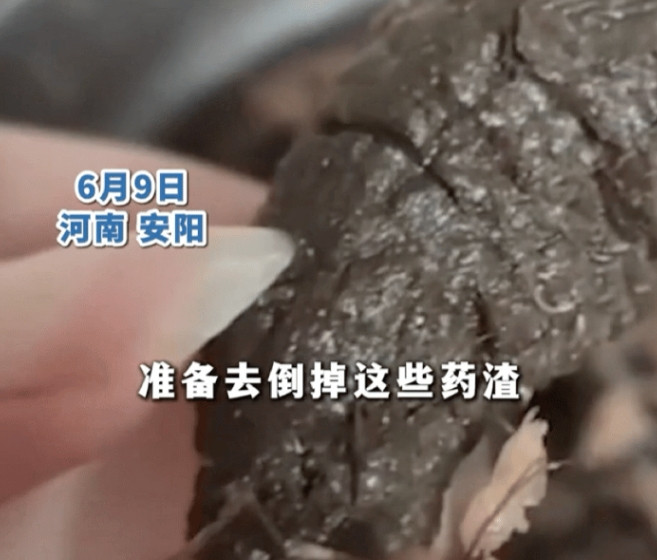 女子熬中药惊现怪异异物！药渣中神秘黑块引全网猜测，真相竟是它？