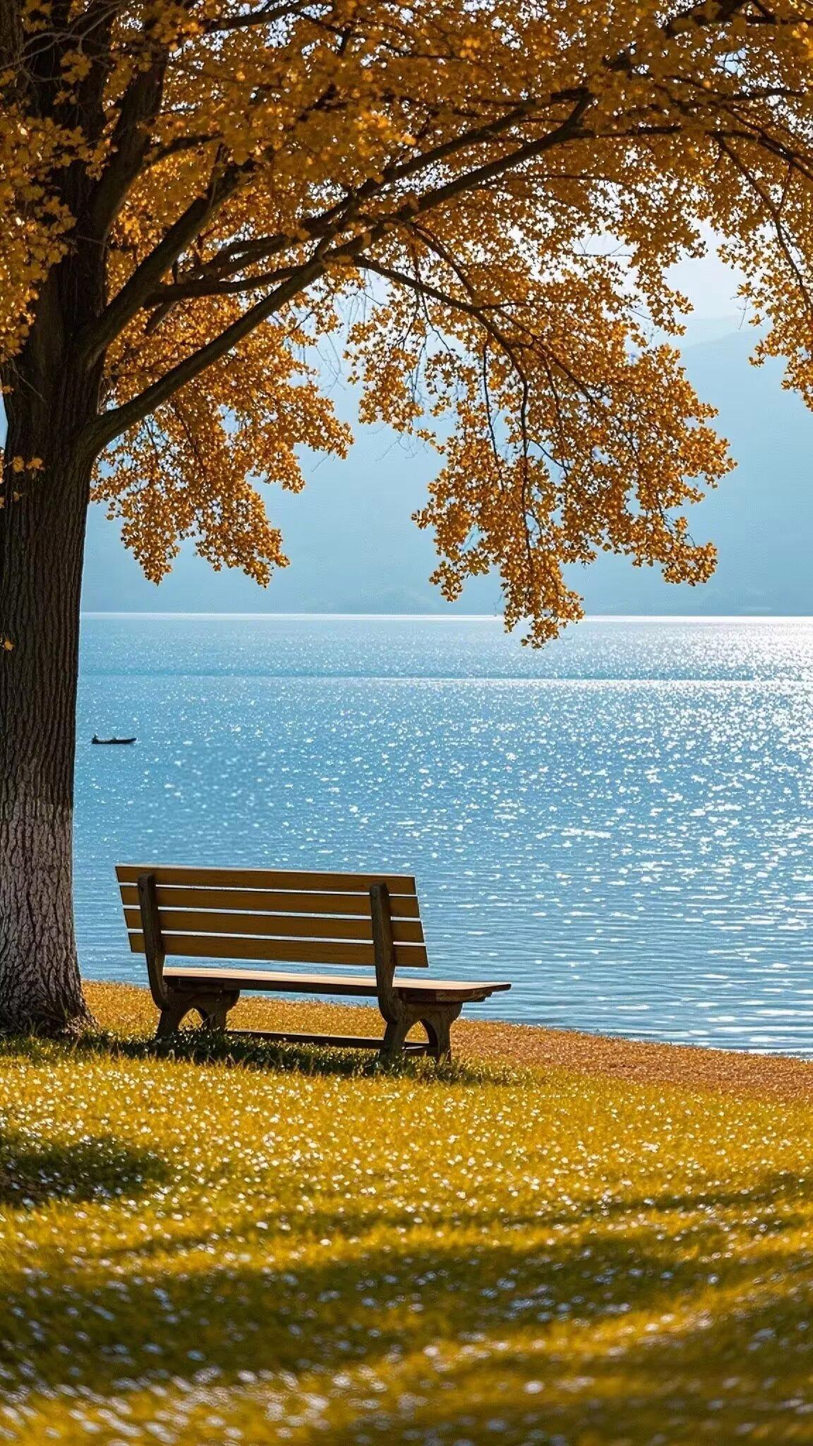 让你运势渐旺的六个秘诀其一，用心打理自身形象。要知道，形象宛如一个人的风水。