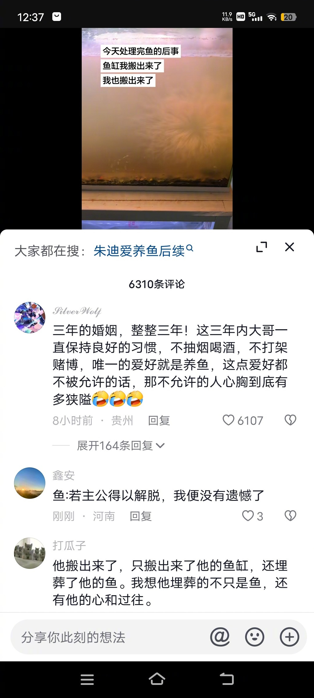 这位大哥太惨了，不但鱼被老婆弄死了，他也被老婆赶出家门了，有一说一，仇人都不会这