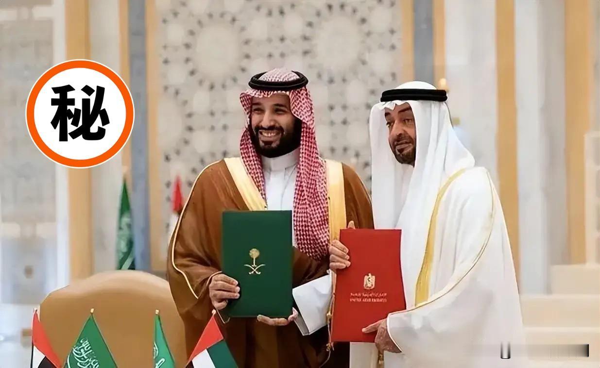 快讯!快讯!沙特突然宣布了!10月28日,沙特阿拉伯和巴基斯坦正式宣布启动经