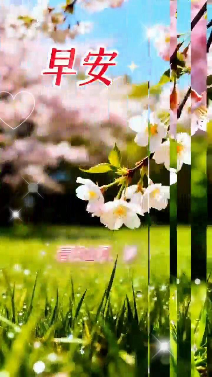 早安。寒尽春生，人间向暖。春归山河，梦想花开。东风送暖，福至身边。