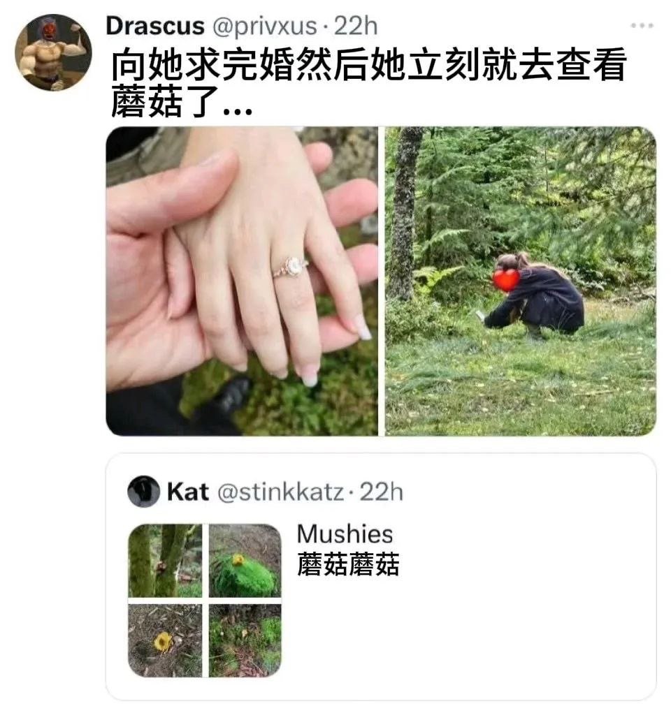 蘑菇蘑菇​​​