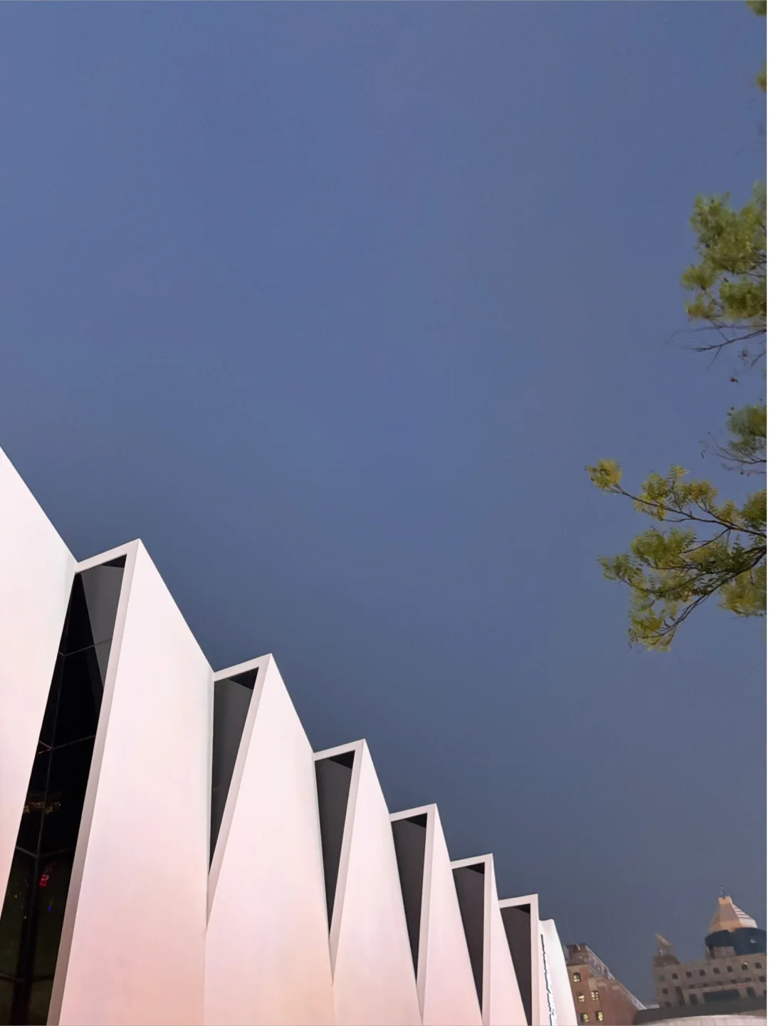 我发现热爱生活的女生对优质男有巨大吸引力