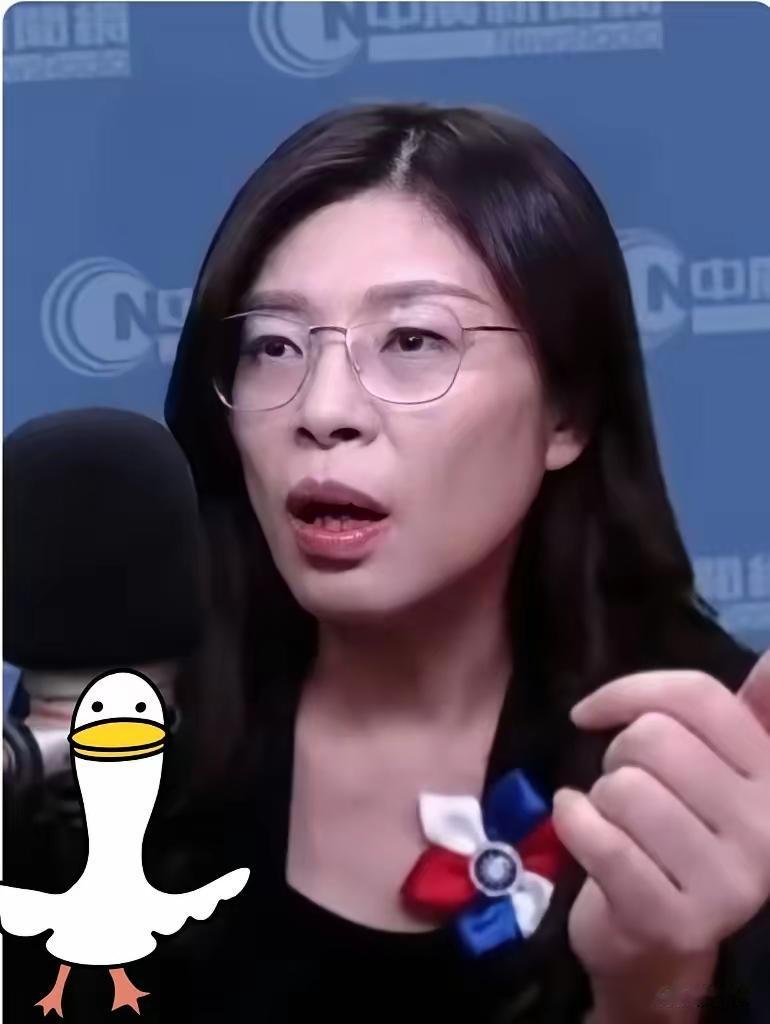 号外！号外！支持率大洗牌！郑丽文一抛出“一国两区”，国民党支持率直接飙升3.