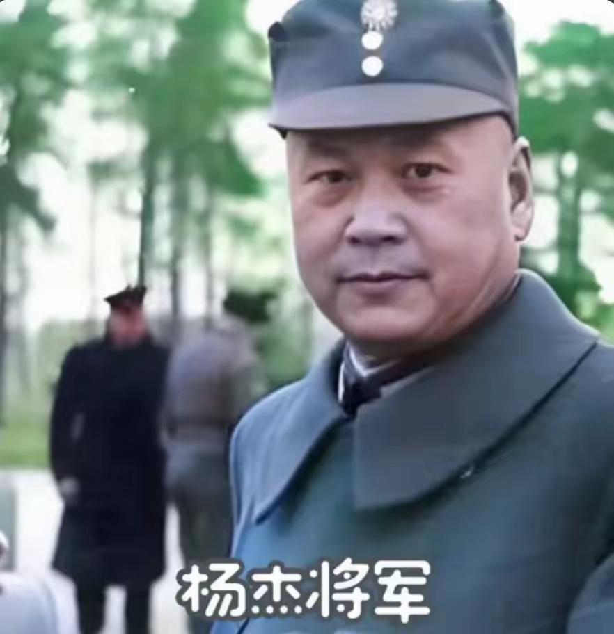 1948年，民国军学泰斗，斯大林口中的“战略家”杨杰，曾向主席提出过一个绝密的大