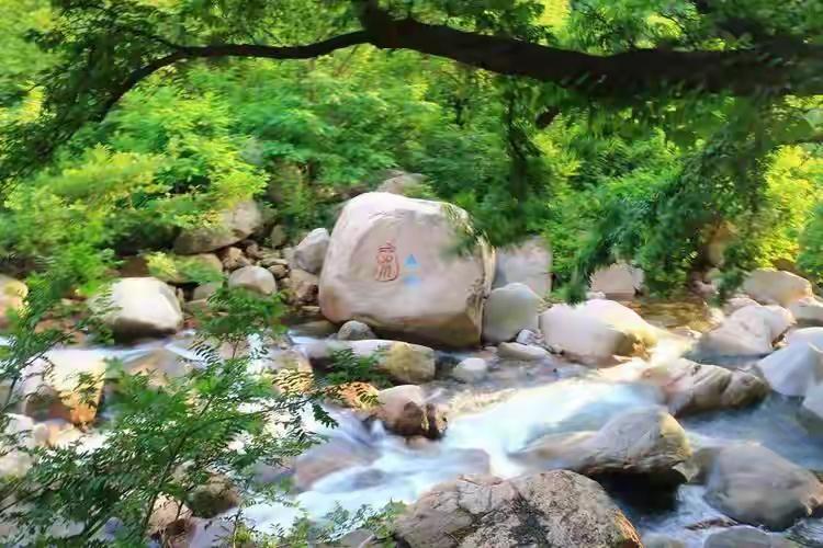 农村为什么没有植物人？前几天刷到一个帖子，说终于明白为什么农村没有植物人了，