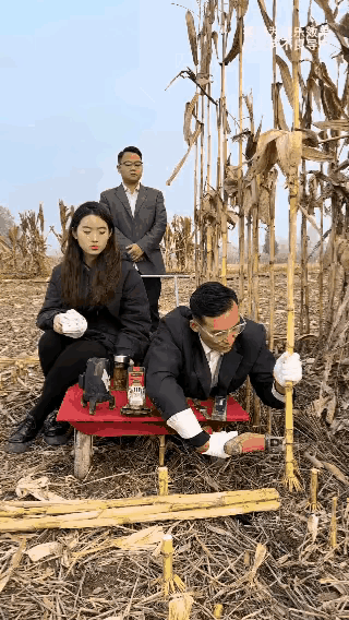 不管做什么工作，一旦做到了极致，都是非常了不起的。虽然这几个人是在搞笑，但是能够