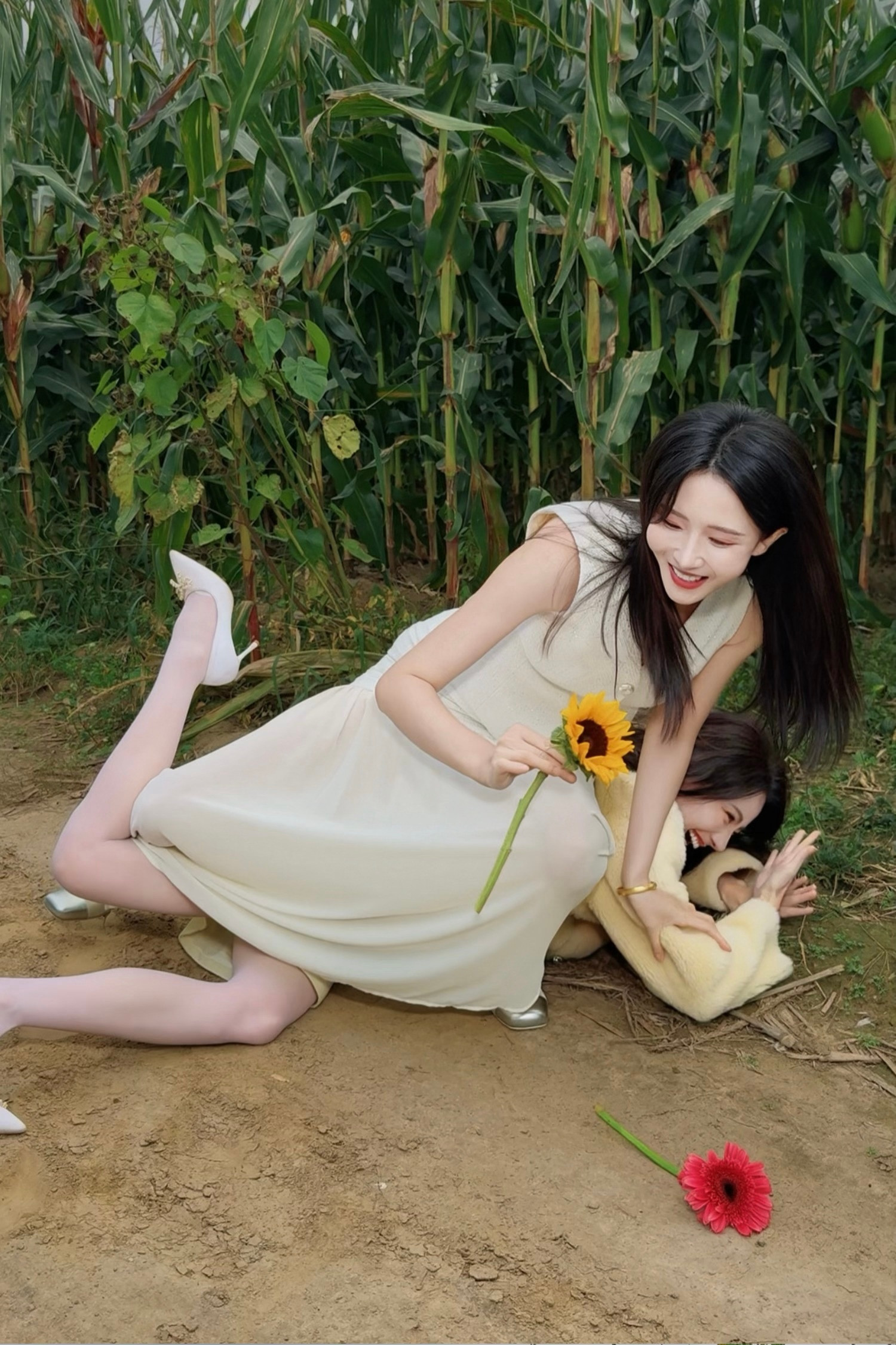 刘萌萌胡丹丹钻苞米地了