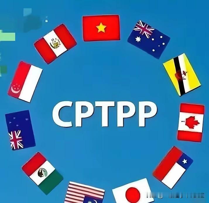 韩国这次是真要“入群”CPTPP了。据共同社6月12日爆料，首尔内部基本拍板，计