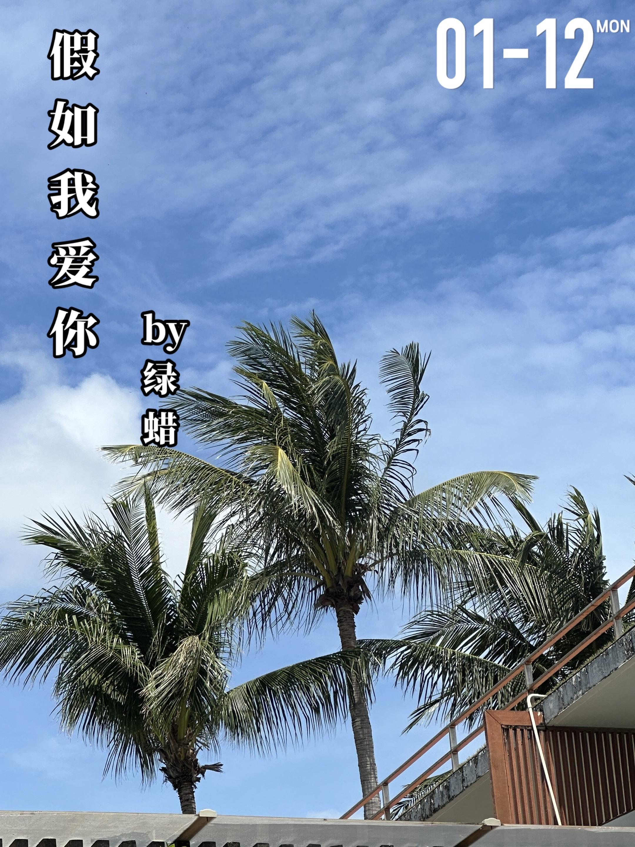 《假如我爱你》by绿蜡。常相思（女主）与白文元（男主）相识于火车上，彼...