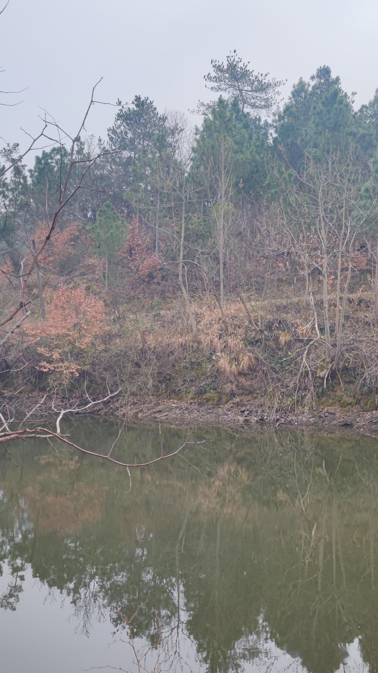 我终于彻底相信了一个道理：不爱你的人，绝不会在意你的感受。无论你怎么努力，无论你