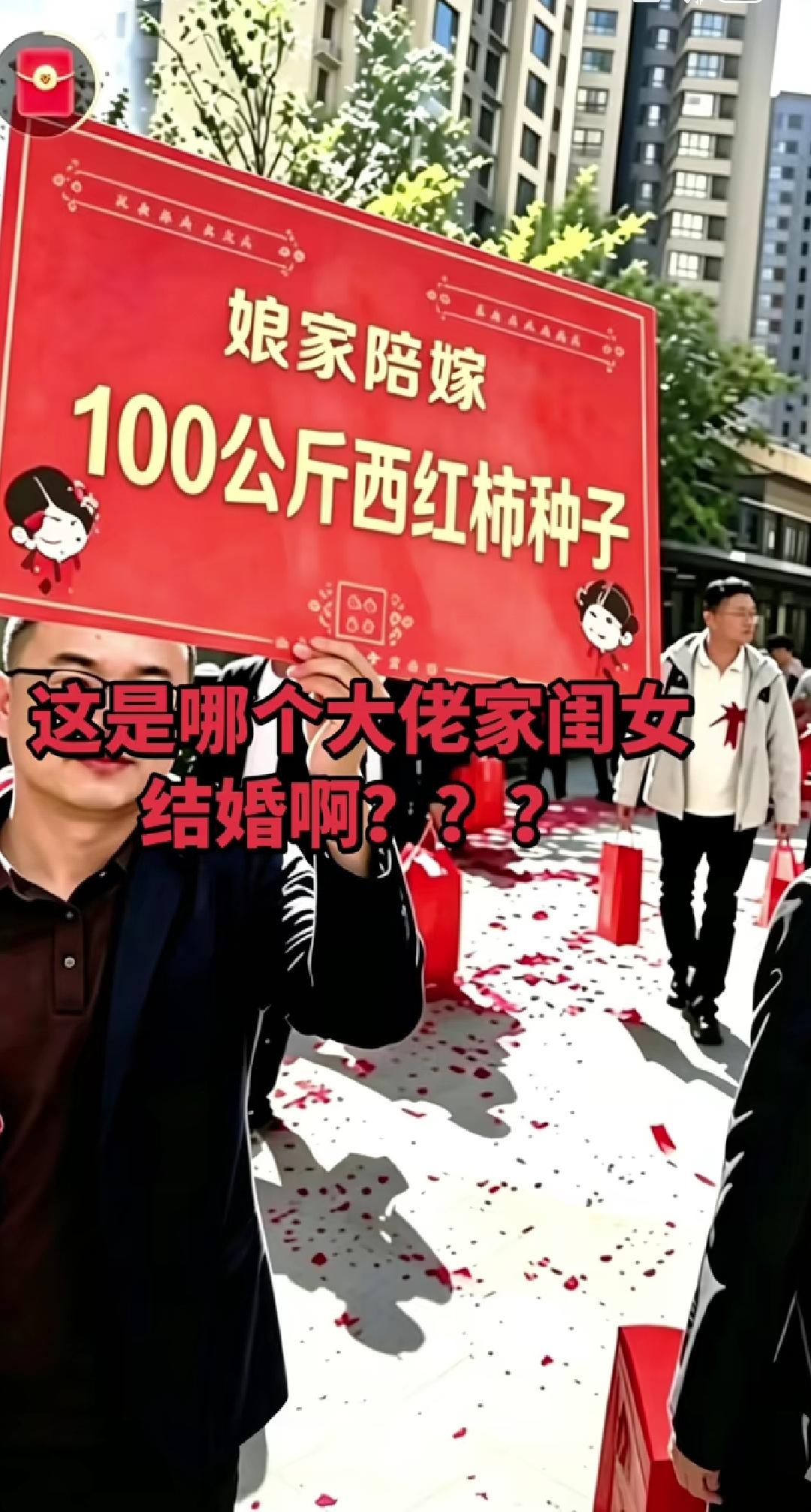 陪嫁100公斤西红柿种子到底多值钱？不看不知道一看吓一跳，原来西红柿种子这么