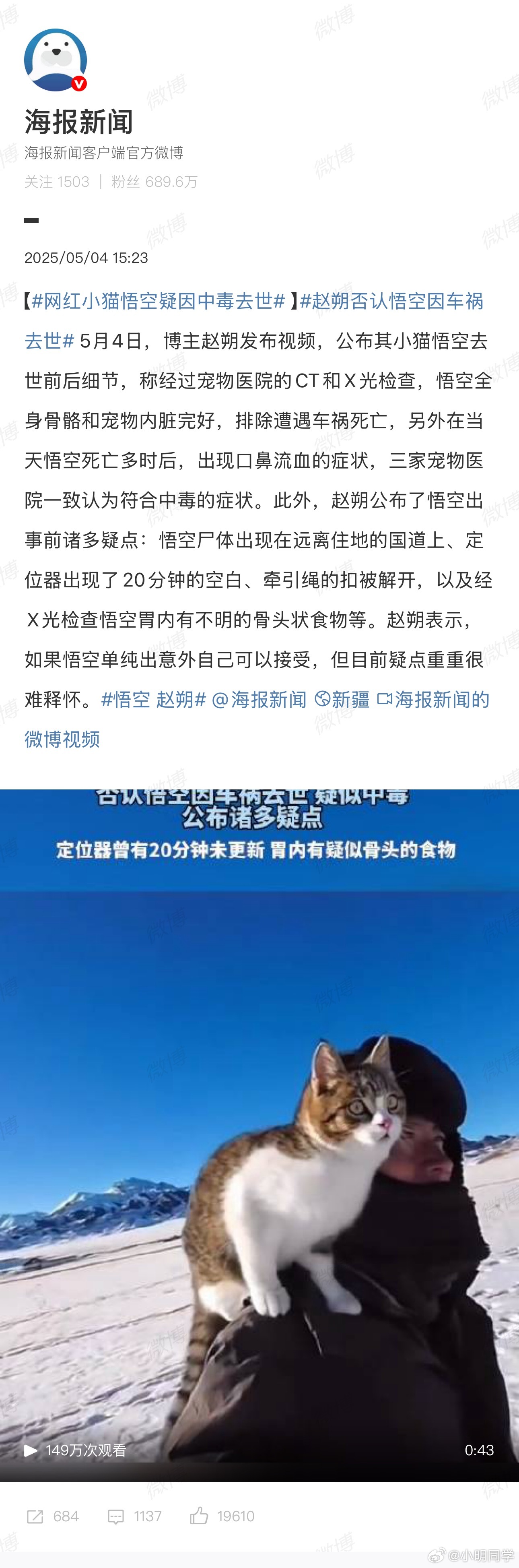 网红小猫悟空疑因中毒去世网红小猫悟空疑因中毒去世，希望赶紧查明真相！​当时看到