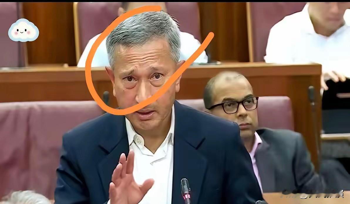 新加坡彻底急眼了！东盟会上当场拍桌子，那气急败坏的模样，半点体面都顾不上了。