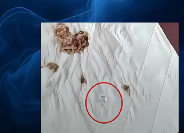 扬州一女子吃八宝粥称吃出玻璃渣，索赔1000元遭拒，厂家愿退还一箱货款，再补
