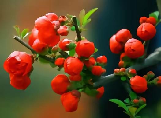 婚后才真正明白：嫁的是人品，不是浪漫。谈恋爱时，鲜花、情话、仪式感让人上头