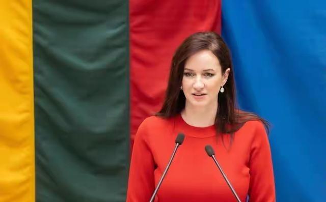 立陶宛终于认错了！2月3日，波罗的海最大英文媒体《波海时报》爆出猛料：立陶宛新总