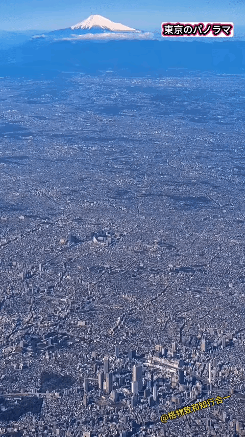 东京全景，这城市化的有点过分了，密密麻麻的[捂脸哭]​​​