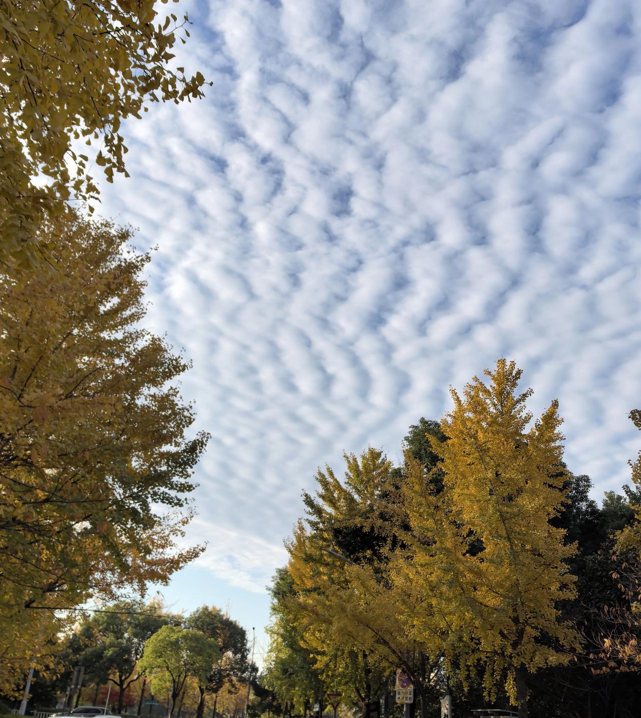 退休后，我转换了锻炼模式退休前，我也是一枚运动达人，在繁忙的工作之