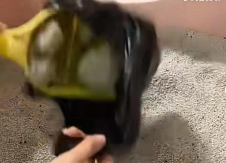 借口不是给年轻人用来推卸责任的一位女子家里养了猫，我于自己，平时我习惯下楼，就