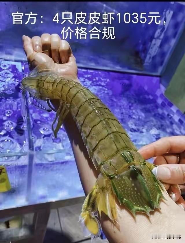 我那个开店的朋友跟我说，像这么大的皮皮虾，进货一斤都要350-480元，所以四只