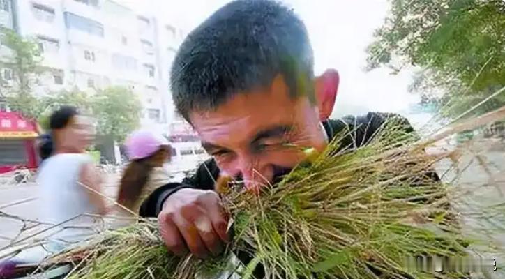 1976年起，重庆一男子疯狂迷恋上了吃草，整整连续了34年，他每天靠吃草充饥，闻