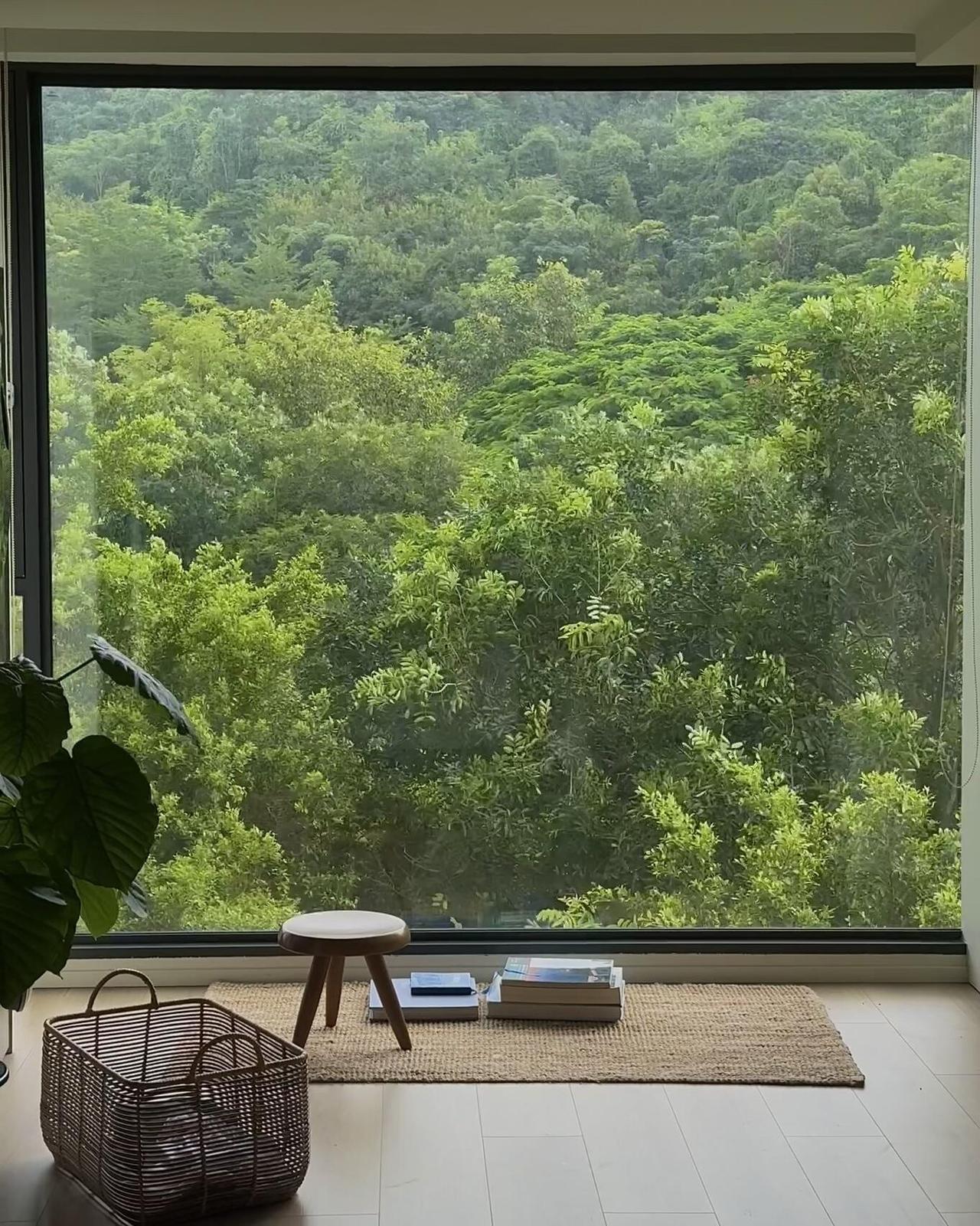 通勤从5分钟变成40分钟，换来每一扇窗都对着山，广州一女子晒出自己的家，房子在广